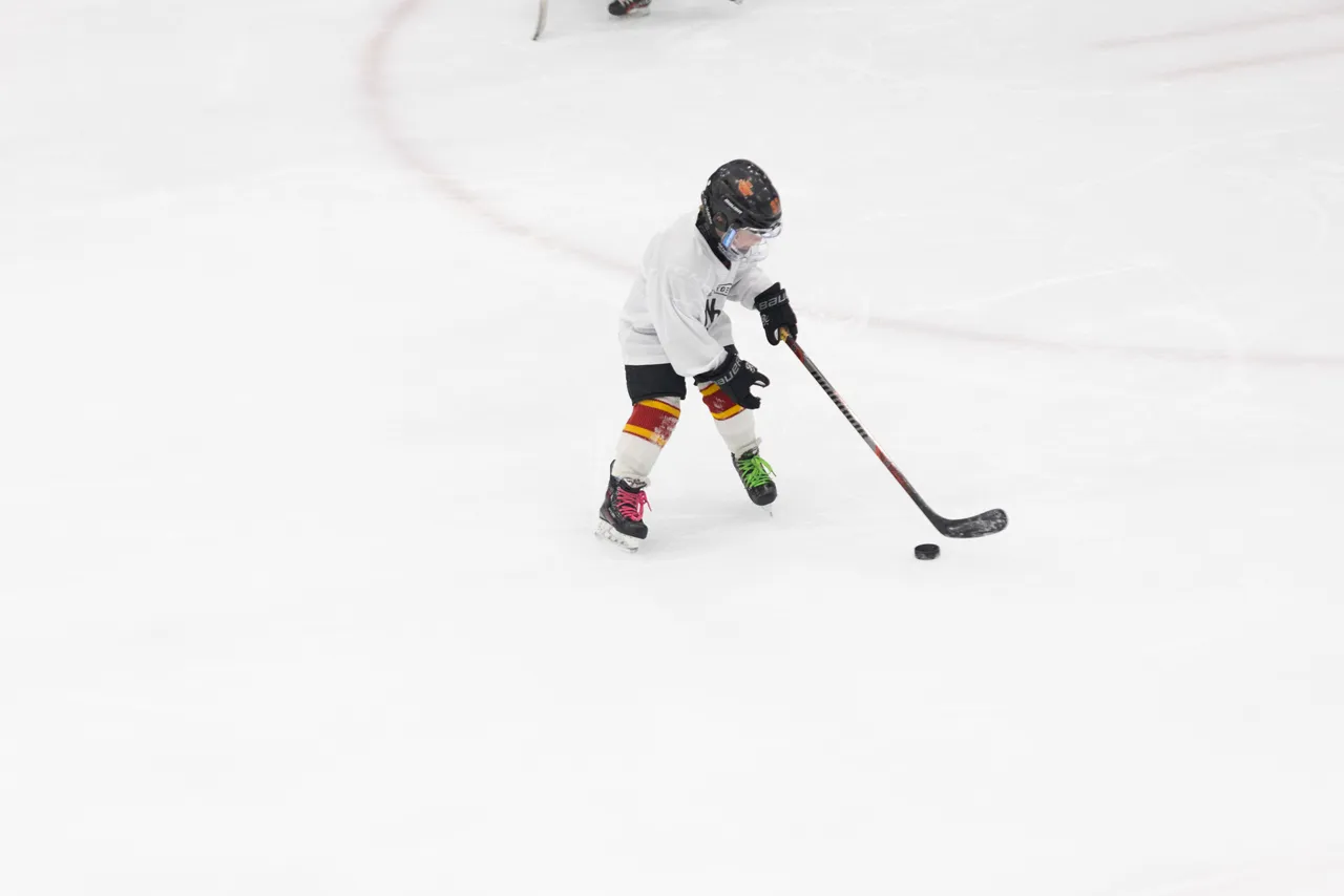 NextGen Hockey School photo